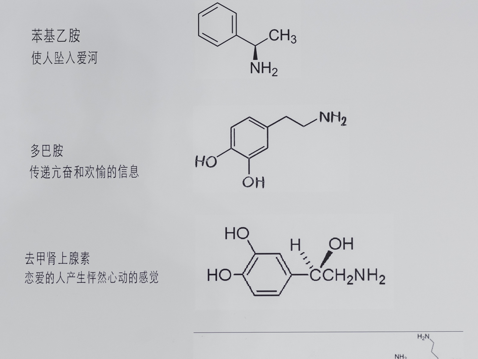           当化学碰撞医学