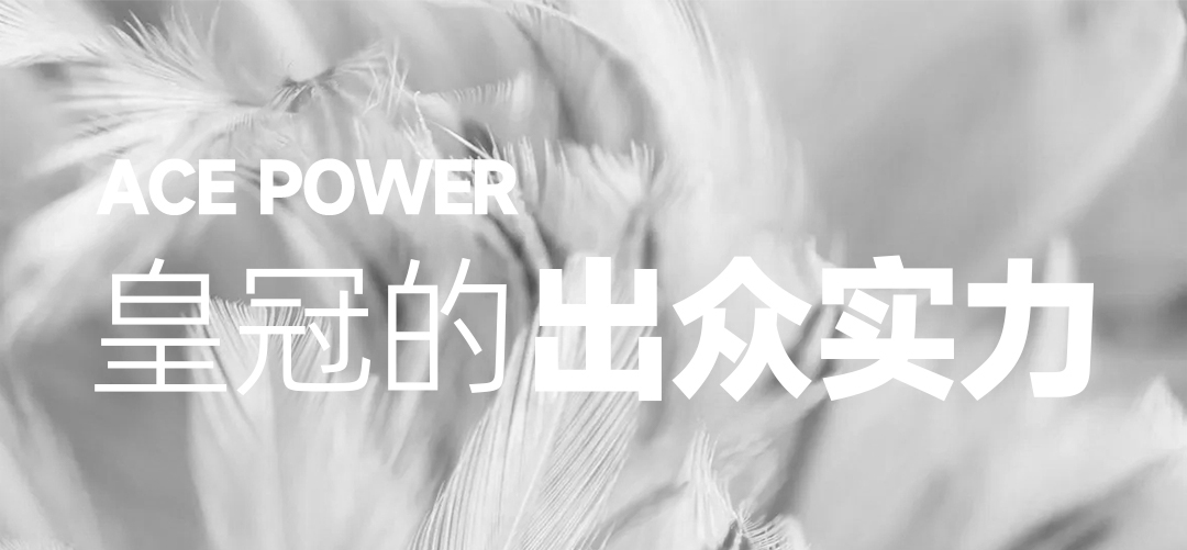 【专享5折】小预算必选·风格/服装/场景任选