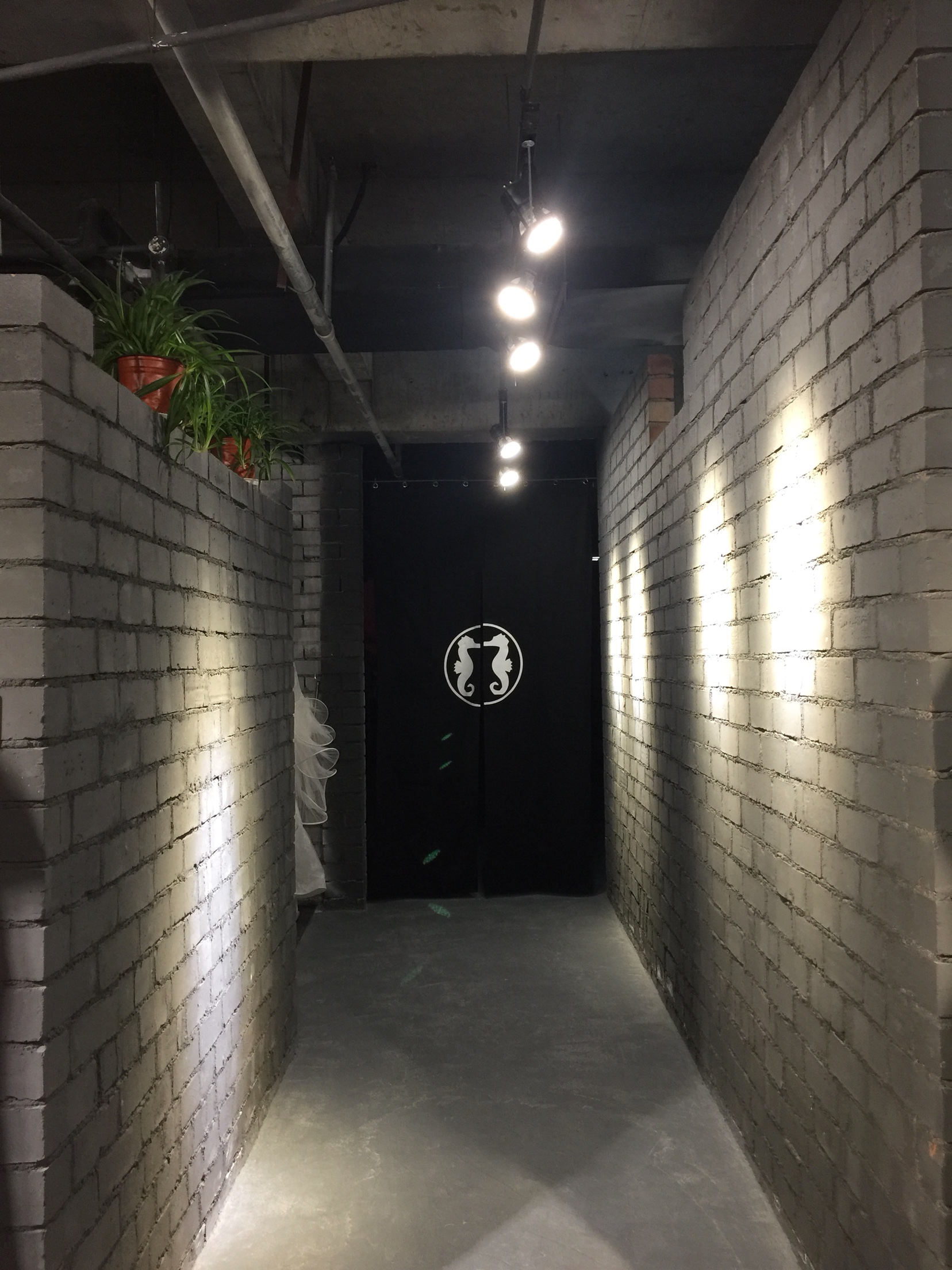 黑克摄影