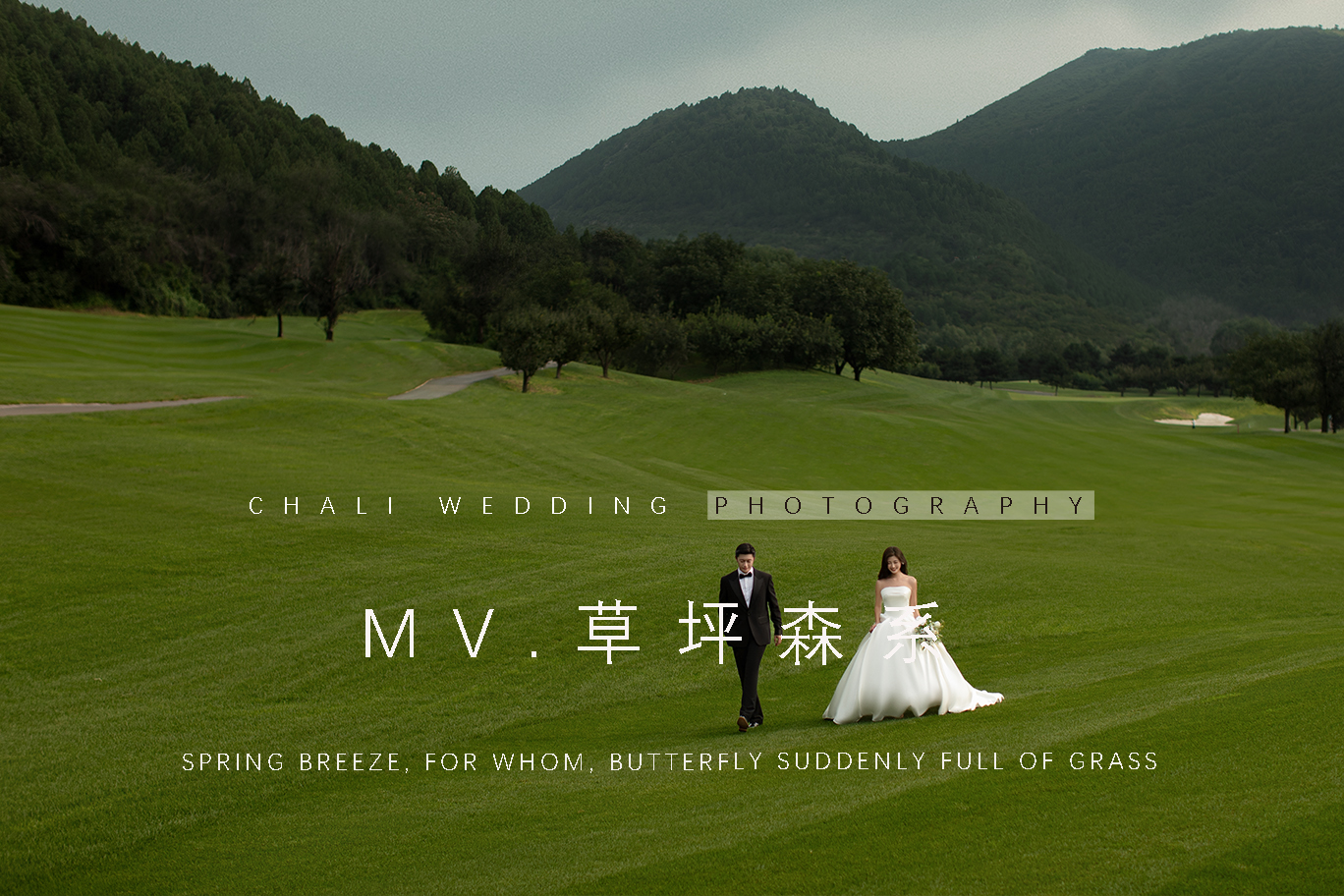 CHALI茶里丨热门风格任选+送婚嫁礼包