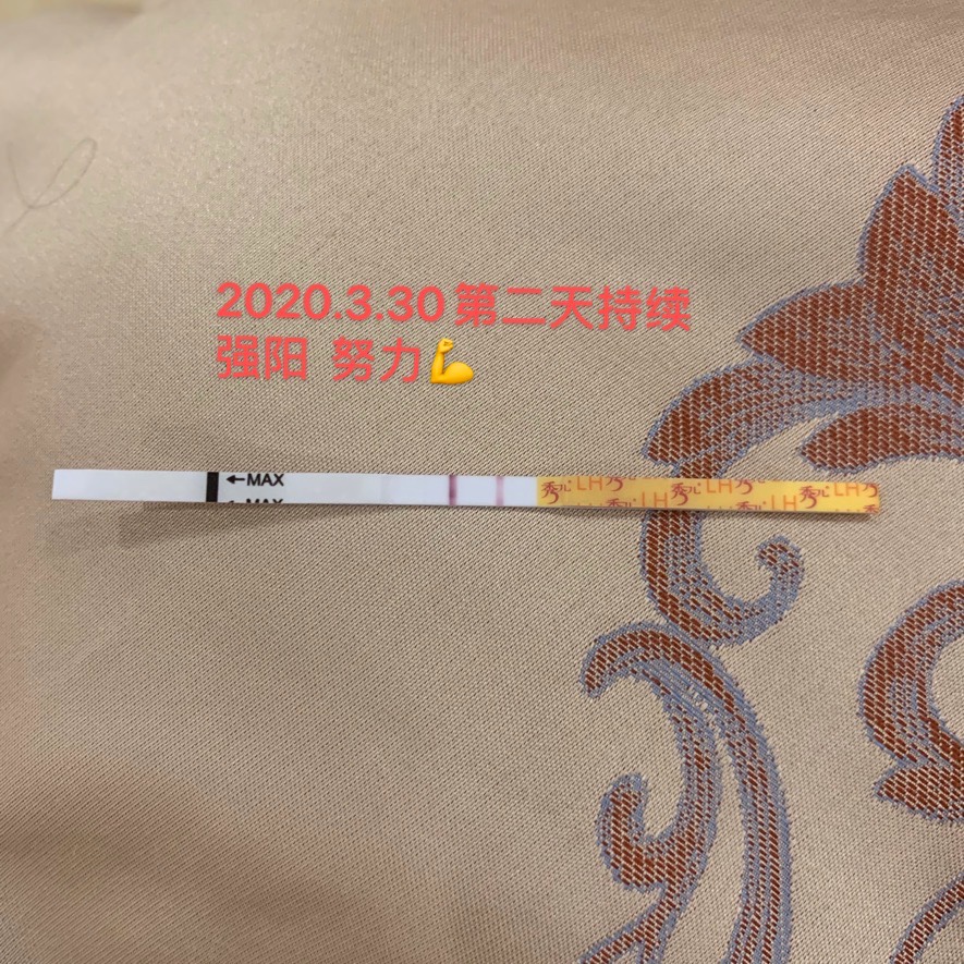 赶得上最后一拨鼠吗？