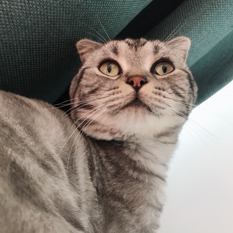 null测试宁珂测试商家71-1