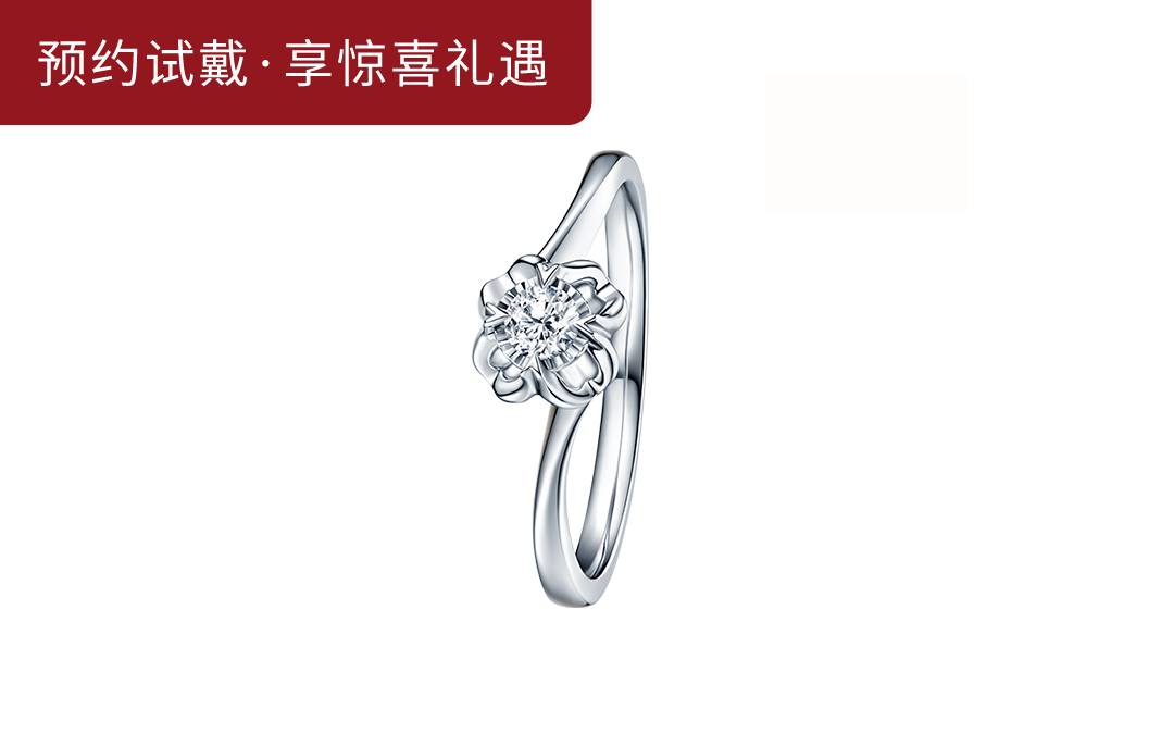 DR BELIEVE系列雪吻求婚钻戒WJ0100