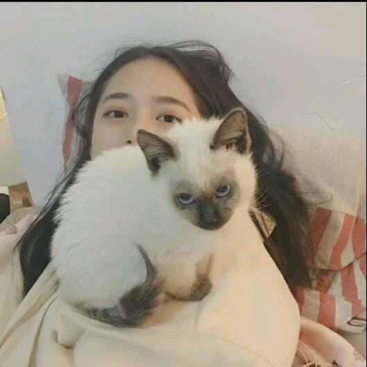 蓝天下的女孩