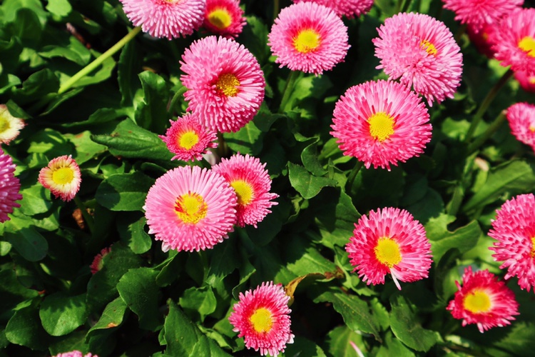 測(cè)試婚紗攝影名哦呵咯哦姆蘇爾夫