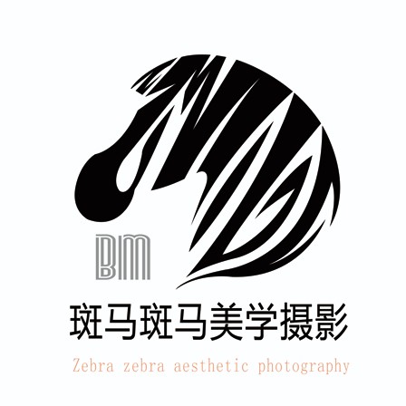 斑馬斑馬美學(xué)攝影