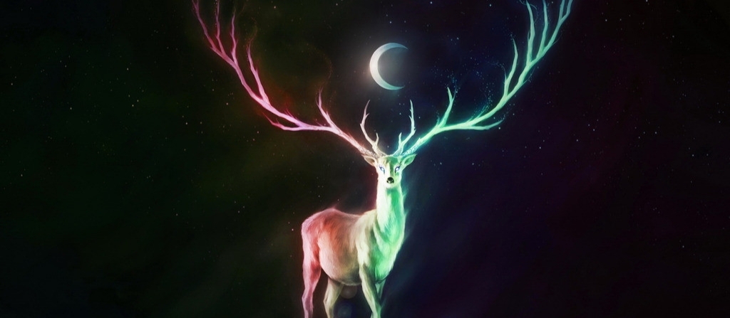 麋鹿摄影