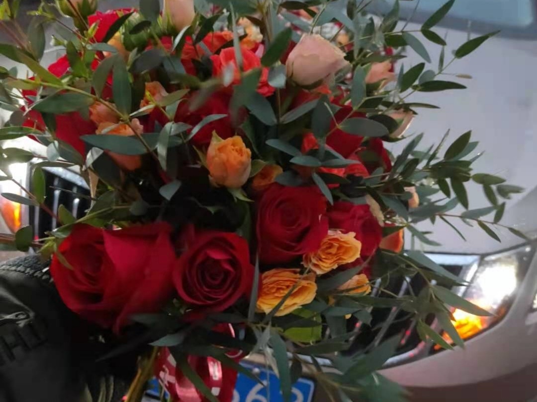 森系与小清新
一份执着，两颗真心，拌三份糊涂