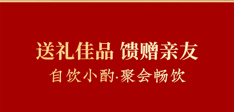 五粮液五粮春50度500mL*2瓶（含酒具）龙年送礼红礼盒白酒