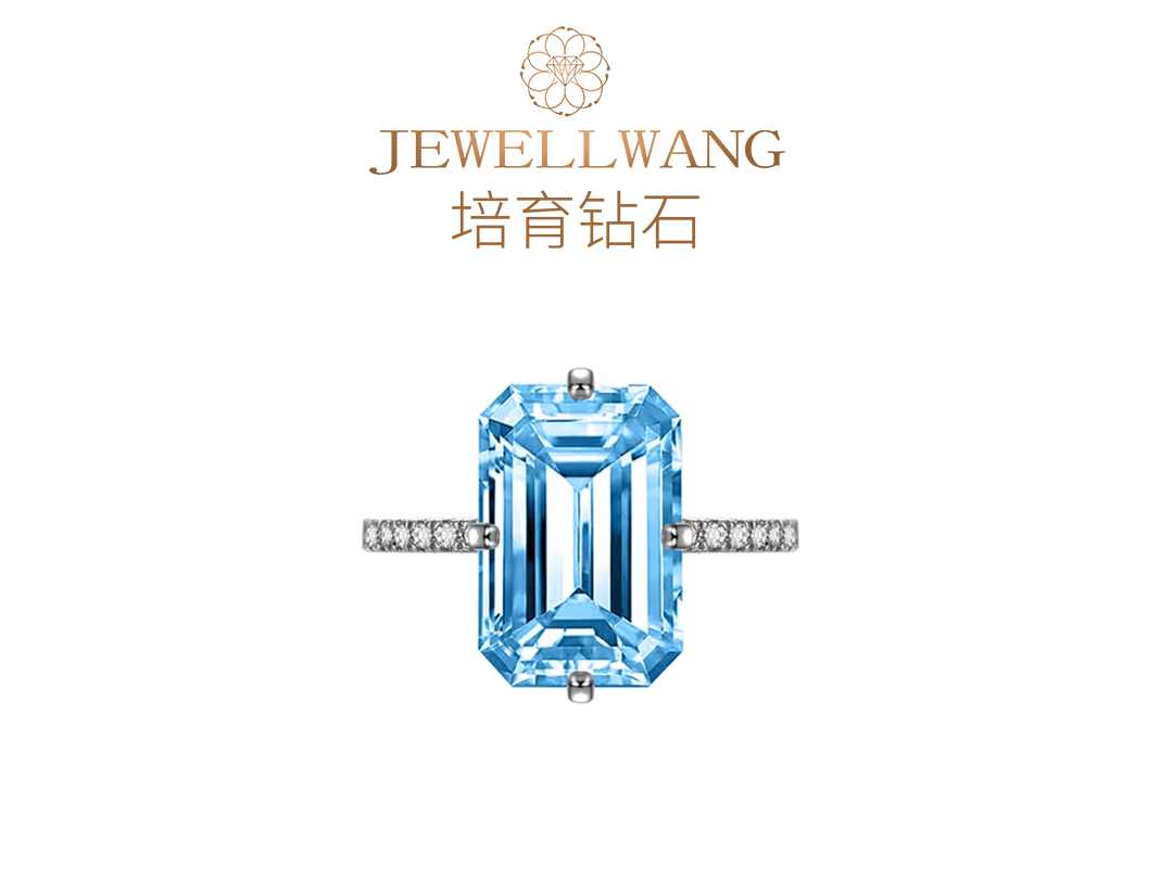 天青 JEWELLWANG培育钻石彩钻蓝钻婚戒指