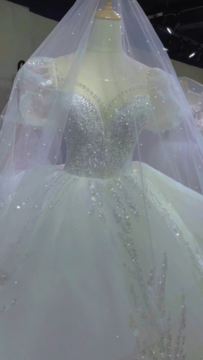 精致公主风婚纱长拖尾加上仙气天鹅湖风格的出门纱
