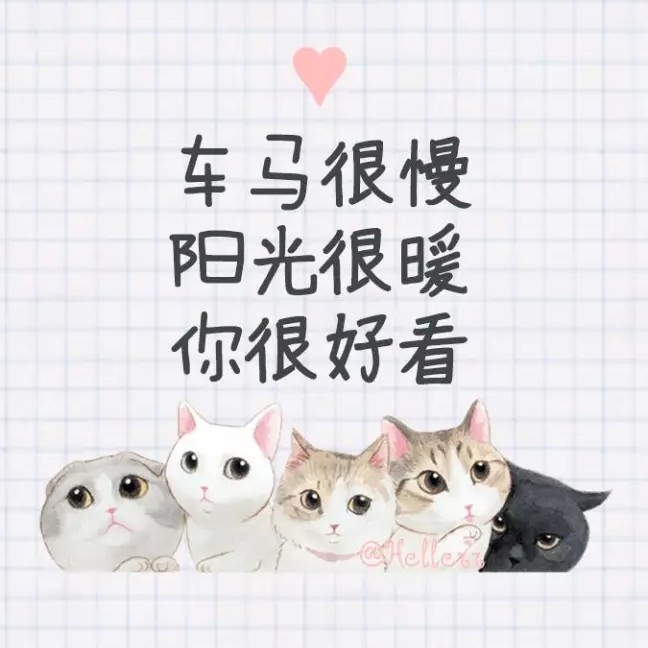小犀_23i86T