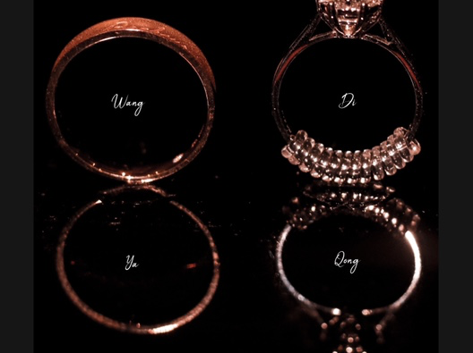 婚前议亲+婚前彩排+主持典礼
