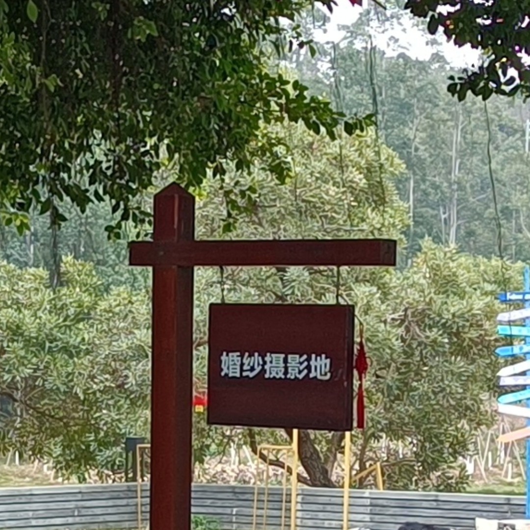 主旋律婚纱摄影