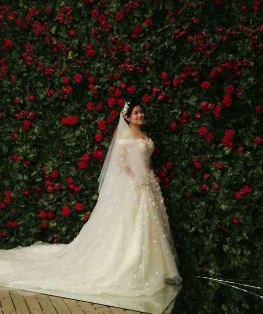 现代婚纱美女_婚纱美女(2)