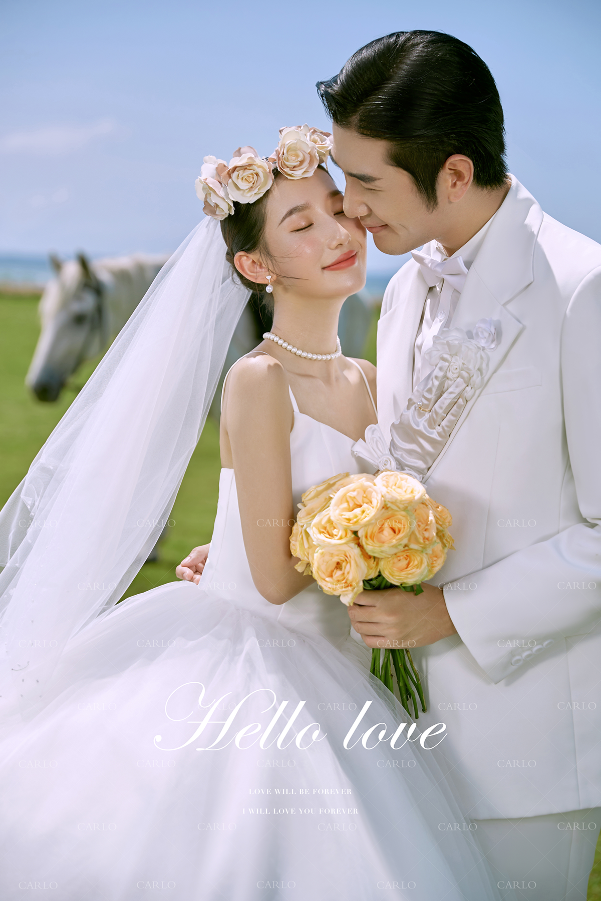 卡洛婚纱摄影【草坪白马】