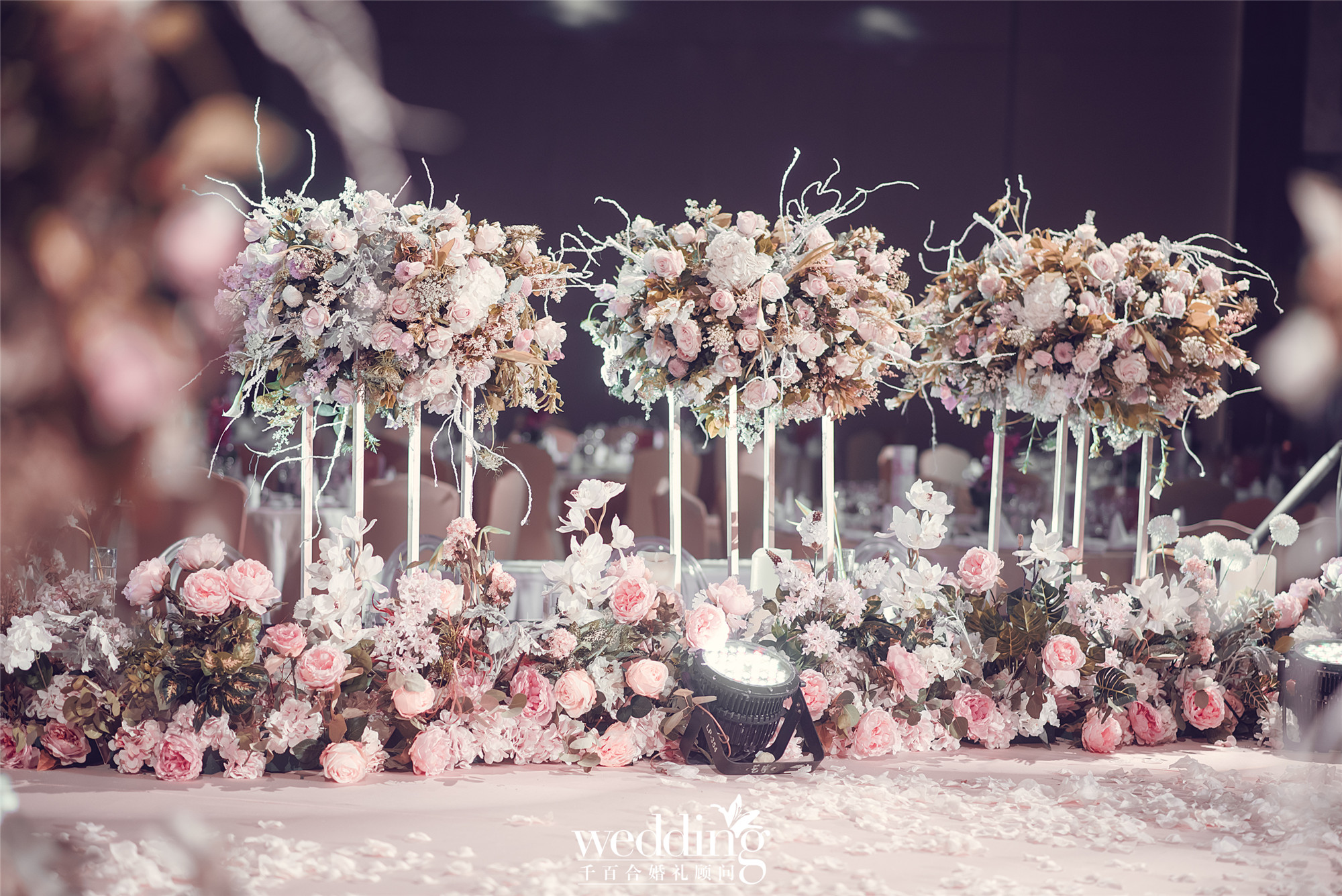 测试一休发布的款式