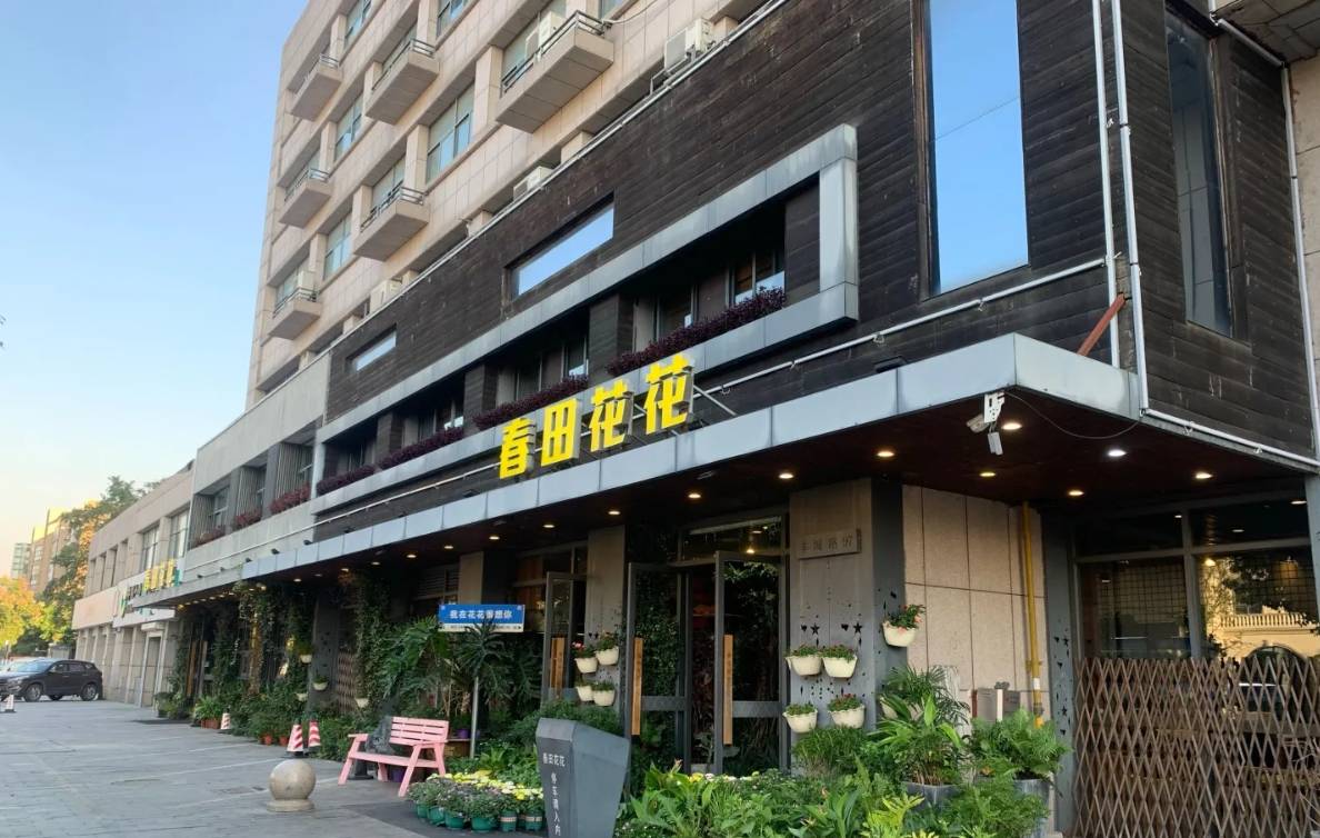 春田花花