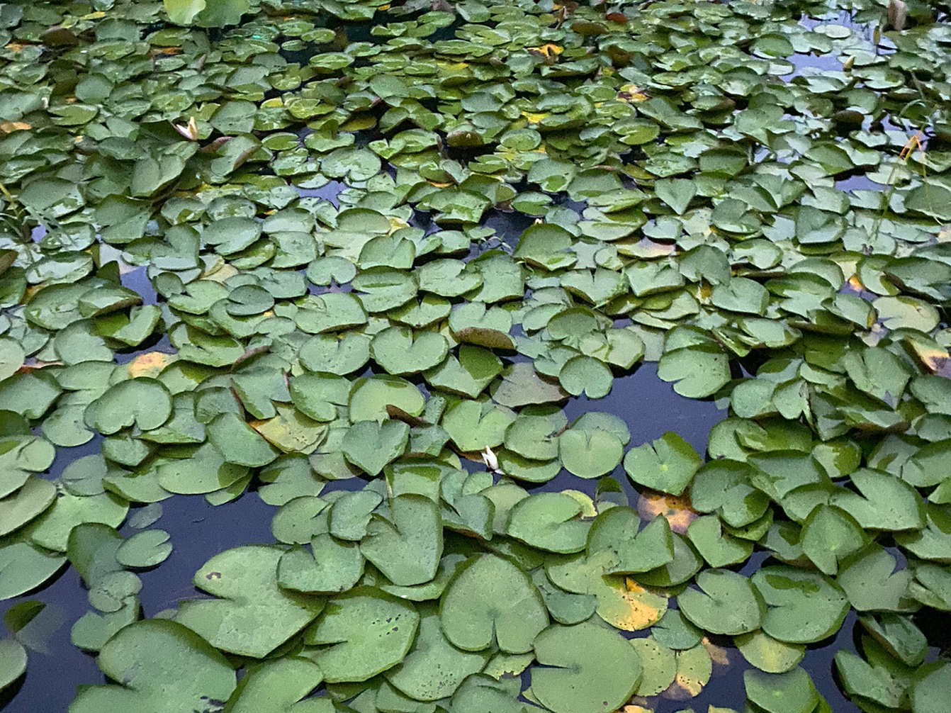 测试哈哈哈健健康康哦哦哦哦1