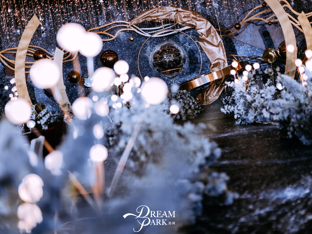 星辰大海·蓝色系浪漫主题婚礼｜DreamPark