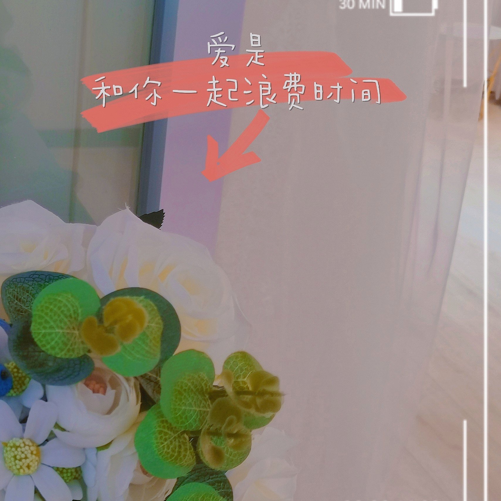 备婚小助手木木