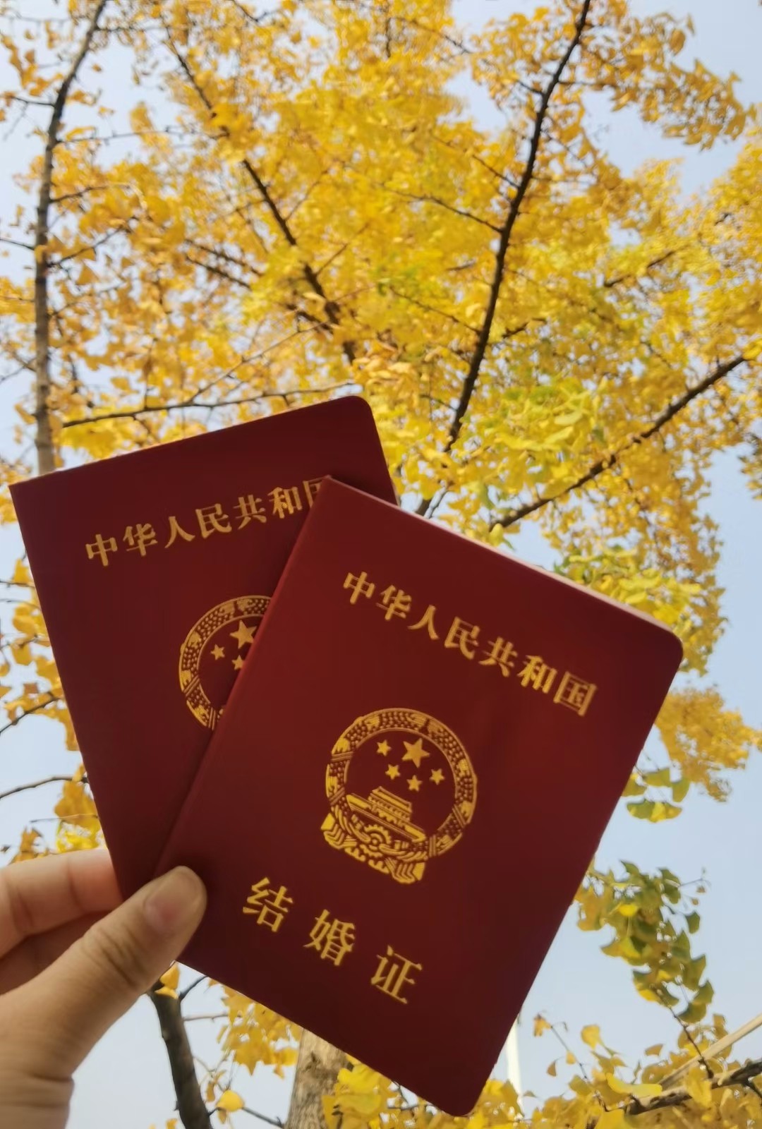 20年11月11日我们领证了