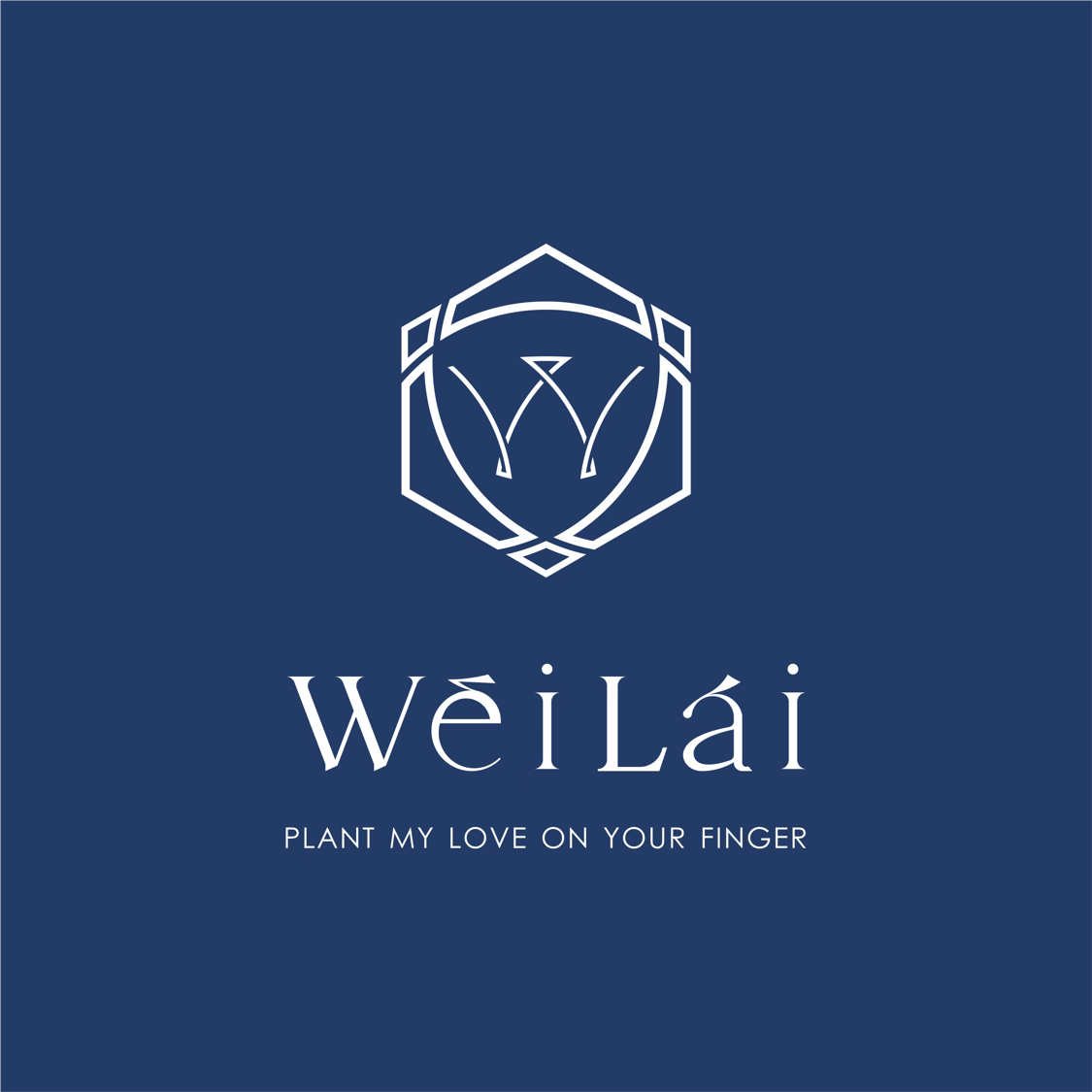 WeiLai薇徕婚戒设计