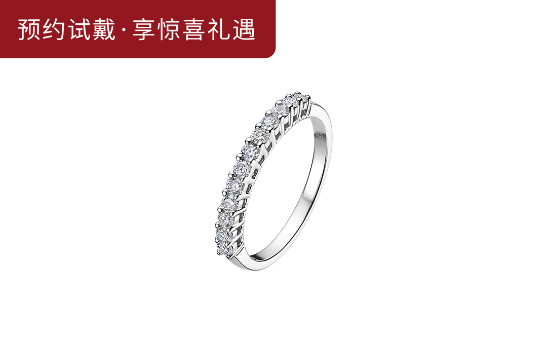 DR FOREVER系列爱侣群镶结婚排镶钻石女戒