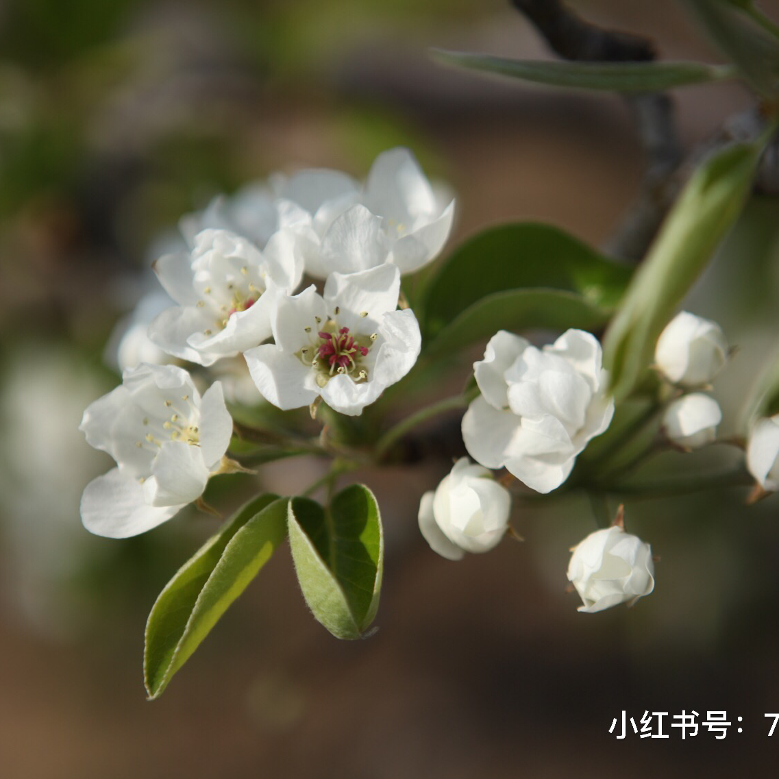 春風十里影像館