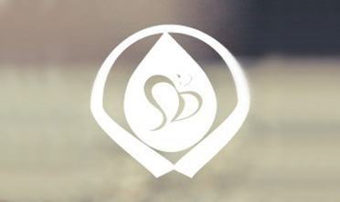 盛典时光婚礼策划 