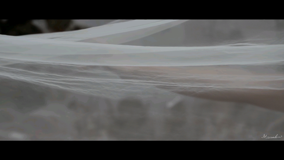 雨天婚禮|小眾 電影