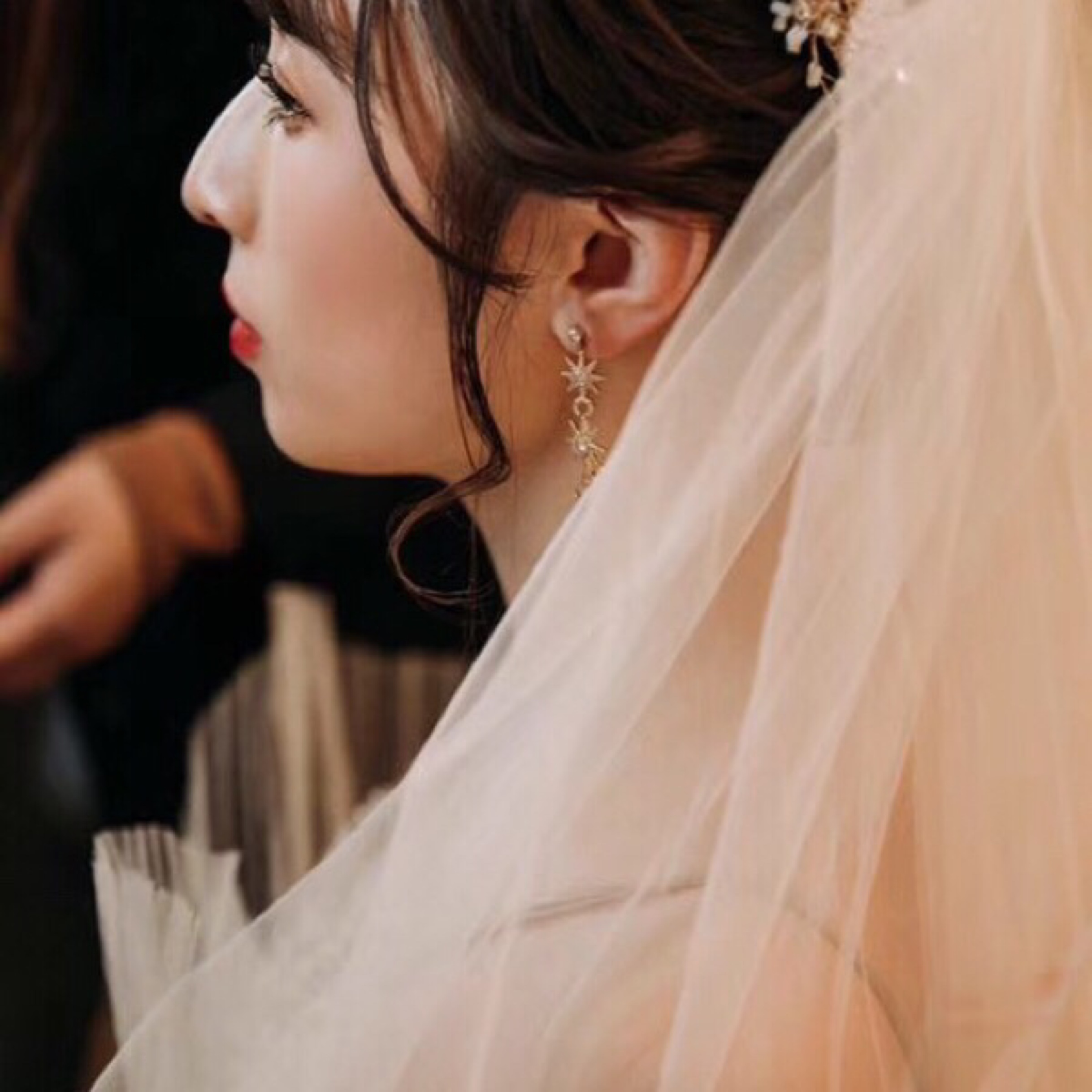 黑天鹅婚纱照_黑天鹅电影图片(2)