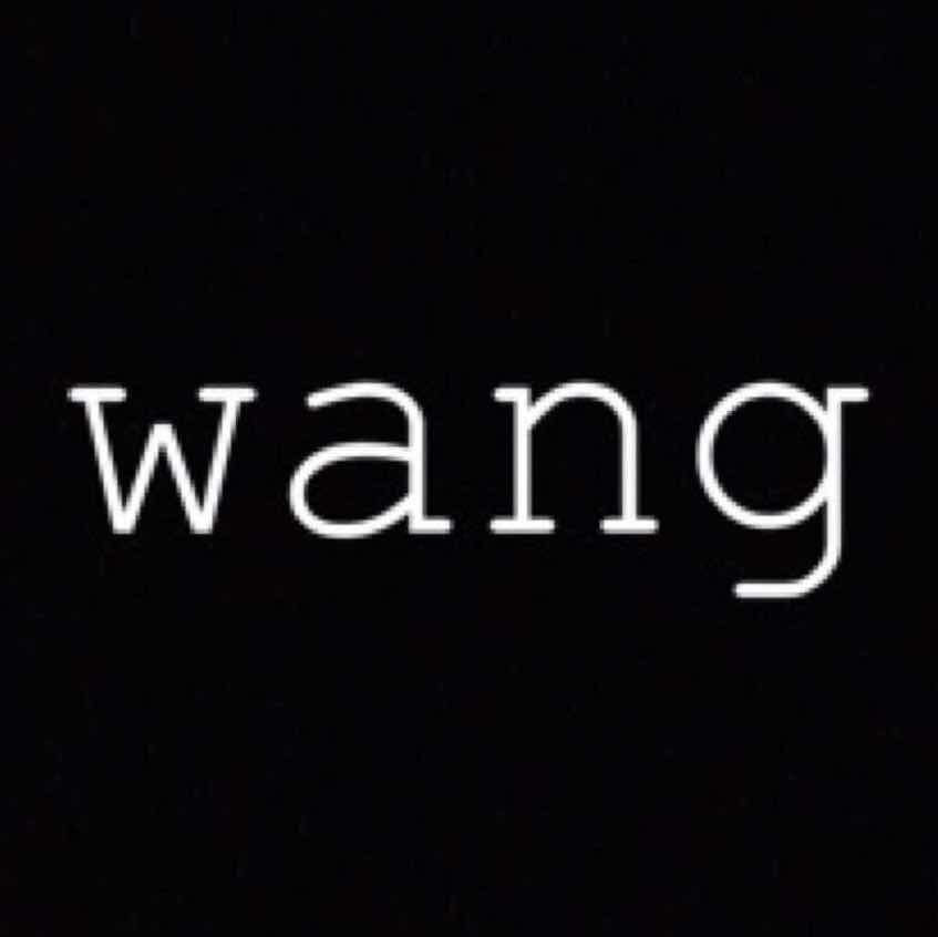 WangVision