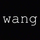 WangVision