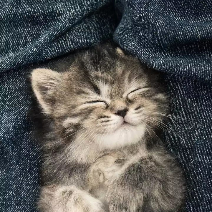 紫色味的泡泡糖💜💜💜