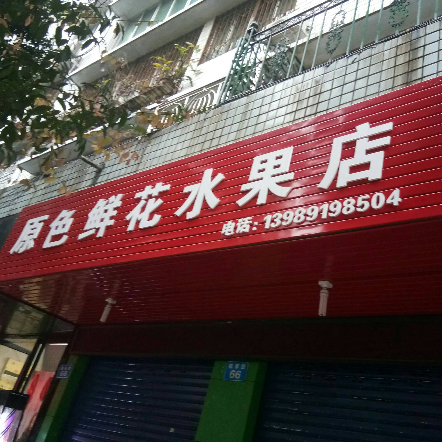 原色鮮花水果店