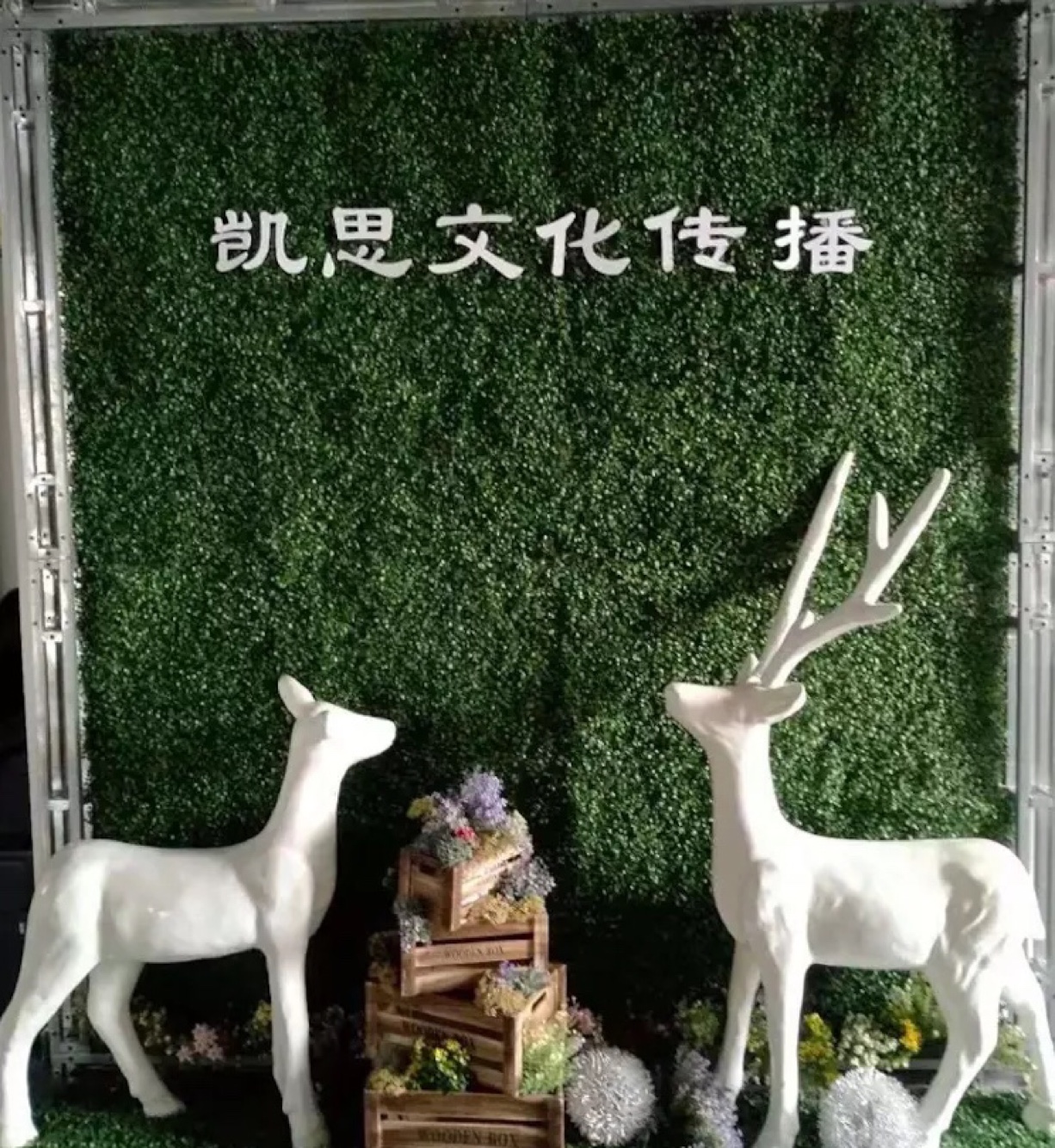 凯诺婚礼KissWedding