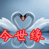 今世緣婚紗攝影