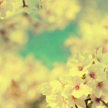 __Spring__
