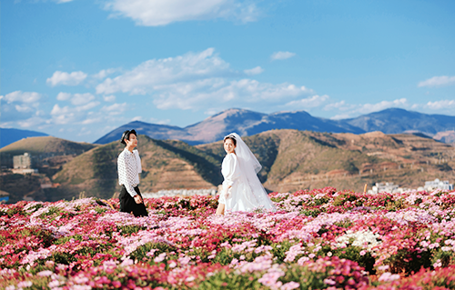 雪山古鎮(zhèn)丨總監(jiān)團隊丨蜜月大床房丨麗江旅拍