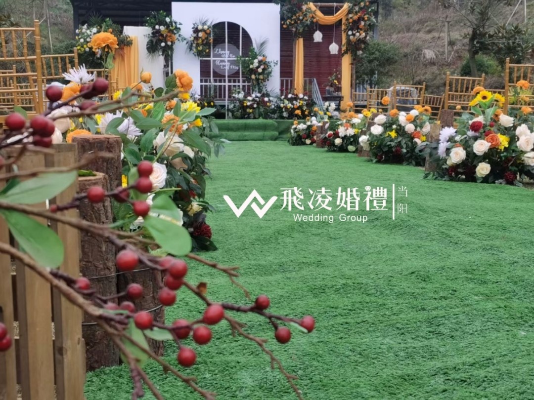 家宴戶(hù)外各種方案預(yù)覽#小預(yù)算#效果好