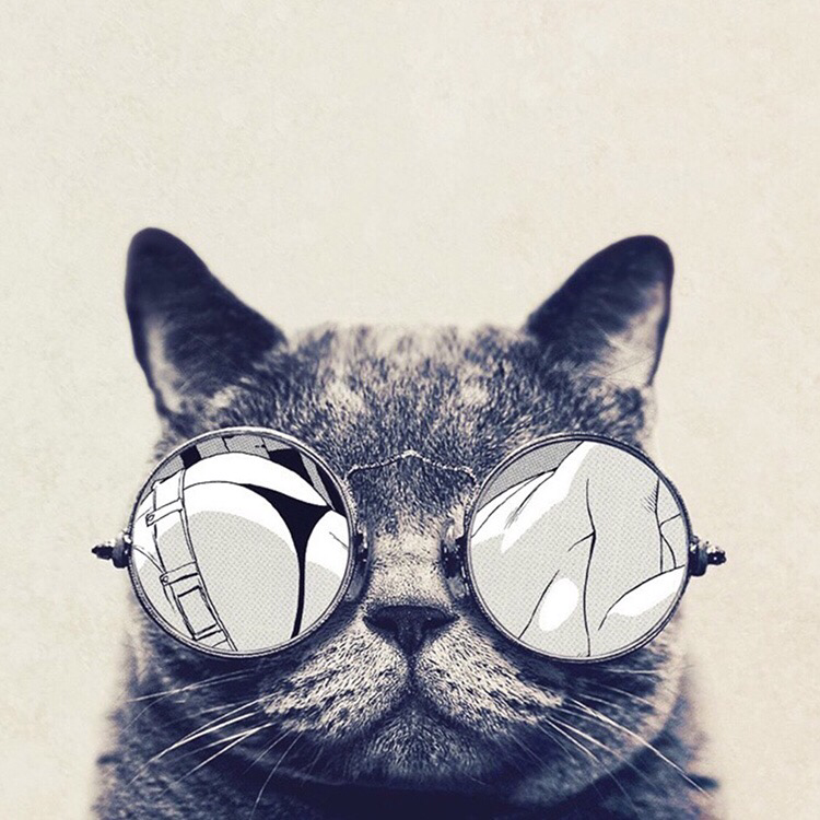 null测试个人二零零三