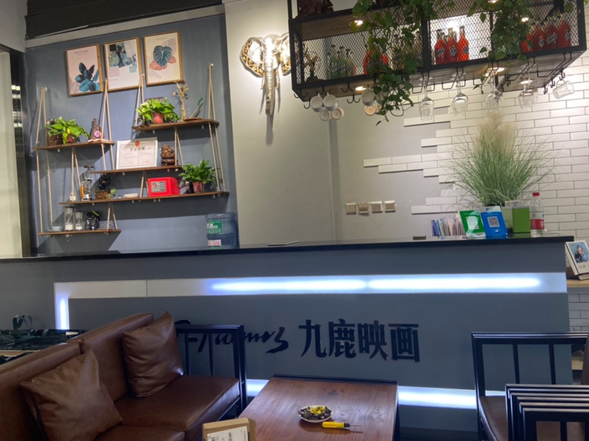 天水九鹿映画婚礼