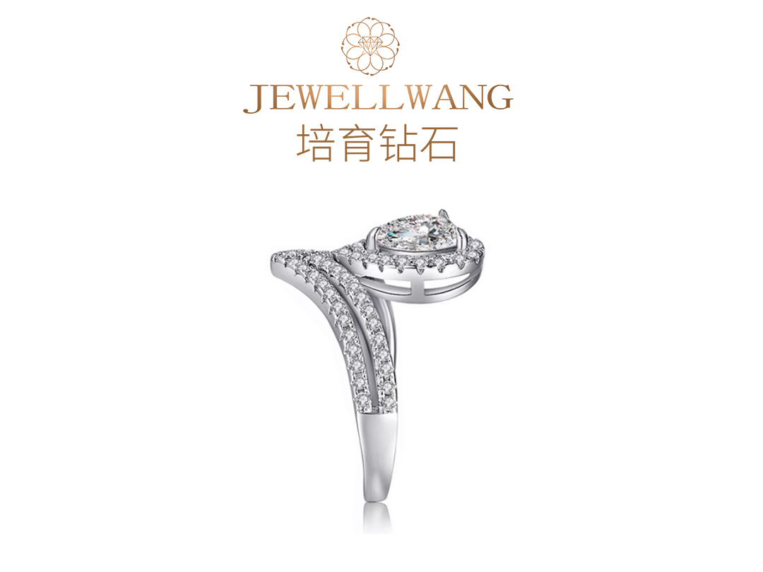 飒露 JEWELLWANG钻玺培育钻石婚戒