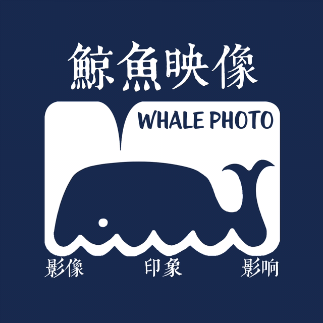鯨魚映像