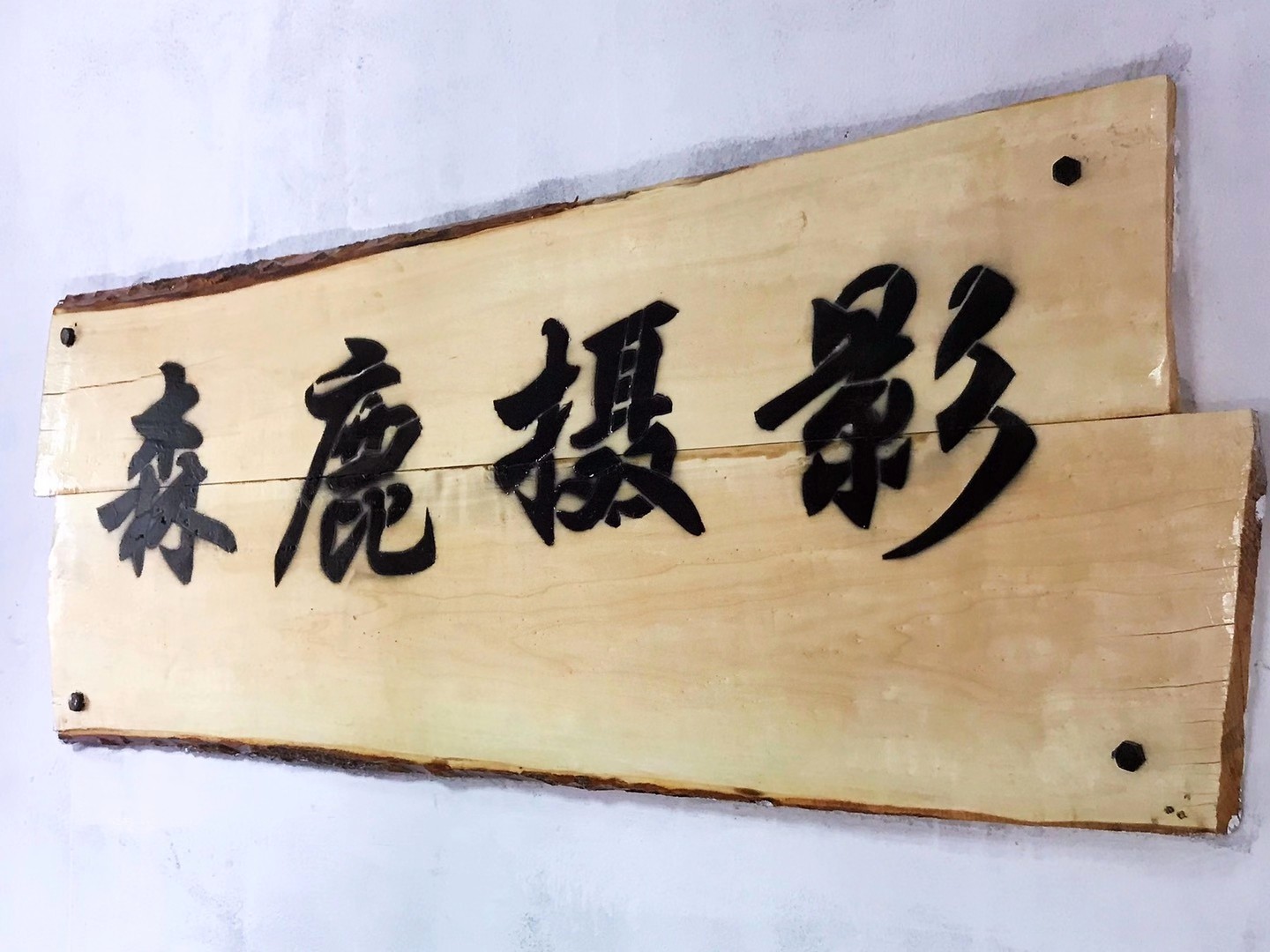 森鹿摄影