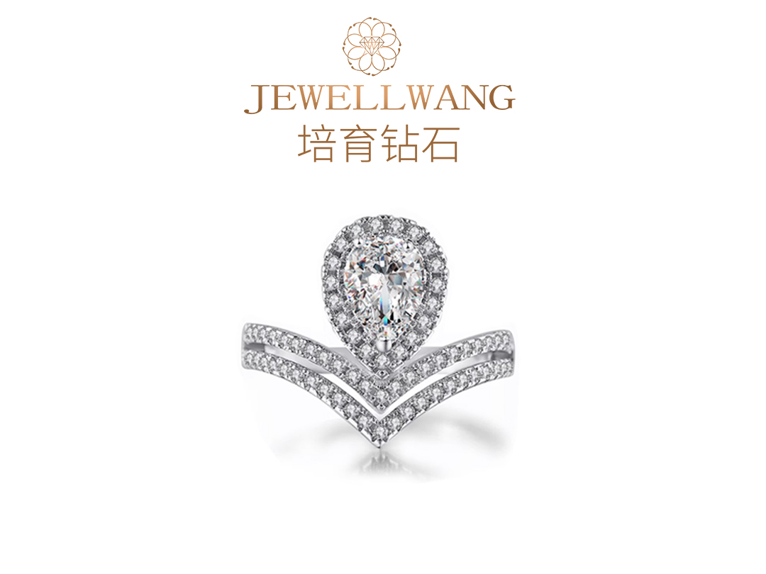 飒露 JEWELLWANG钻玺培育钻石婚戒