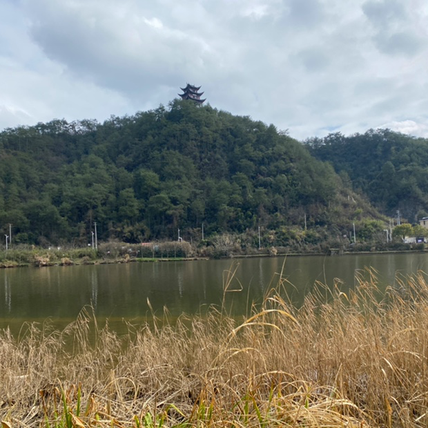 測(cè)試婚禮策劃01001011