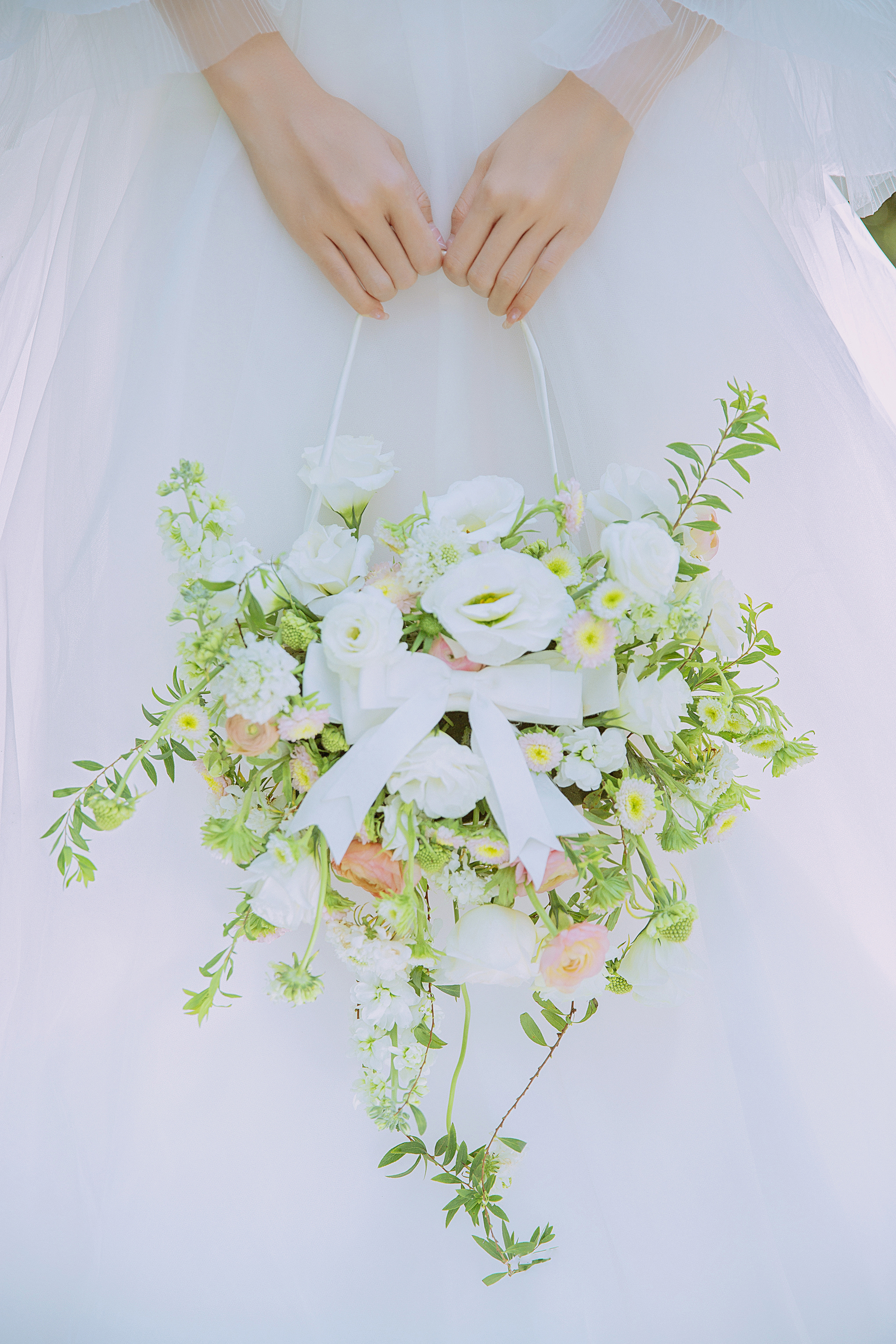 【限时特惠】法式轻奢＋新品研发＋千元礼包