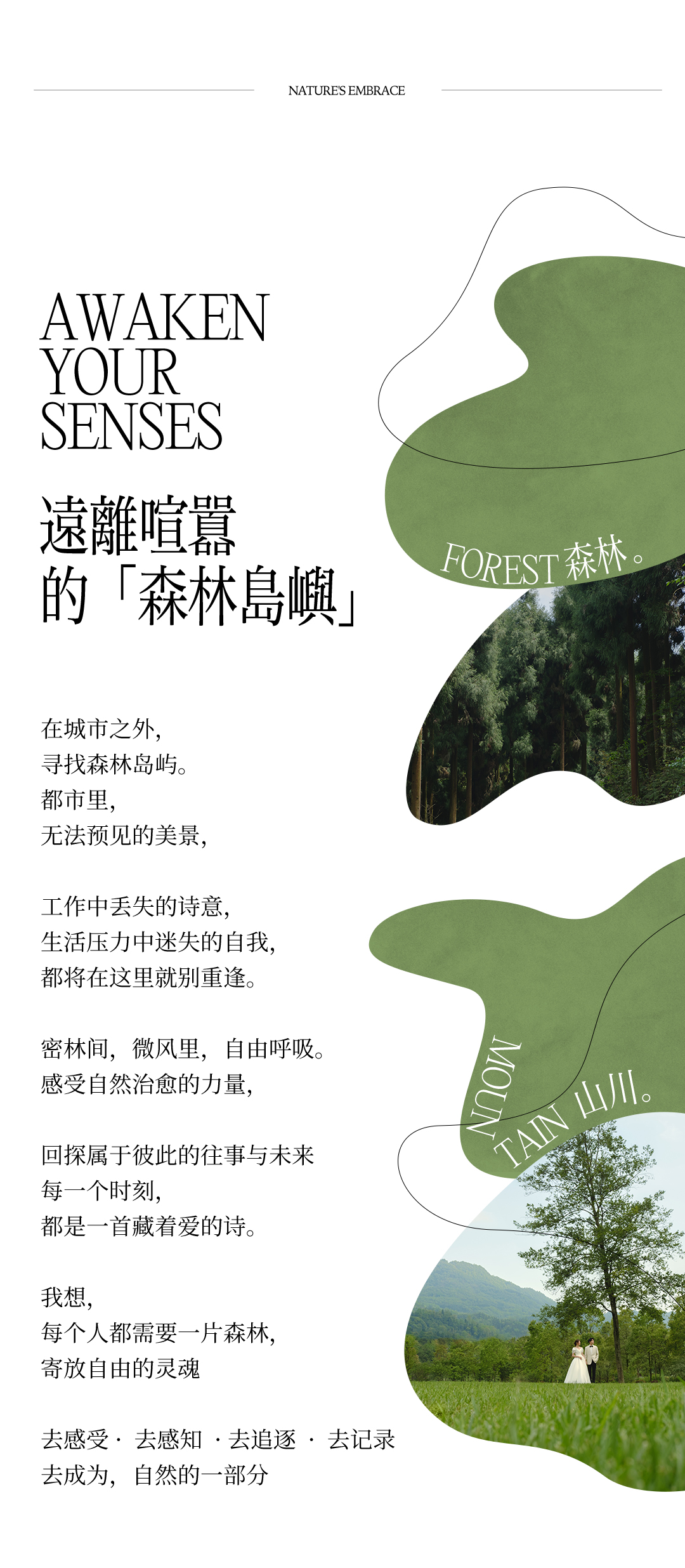【清新森系】婚纱照内外景双拍|风格场景任选|包干